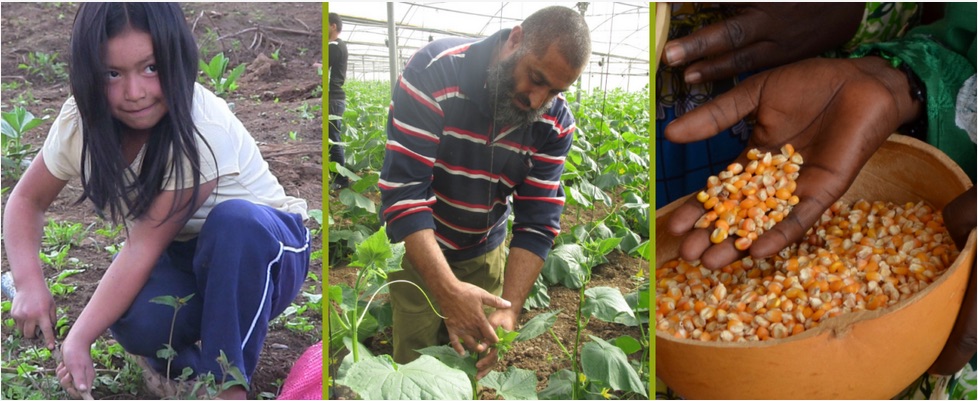 Food As Control Food As Resistance Just World Educational